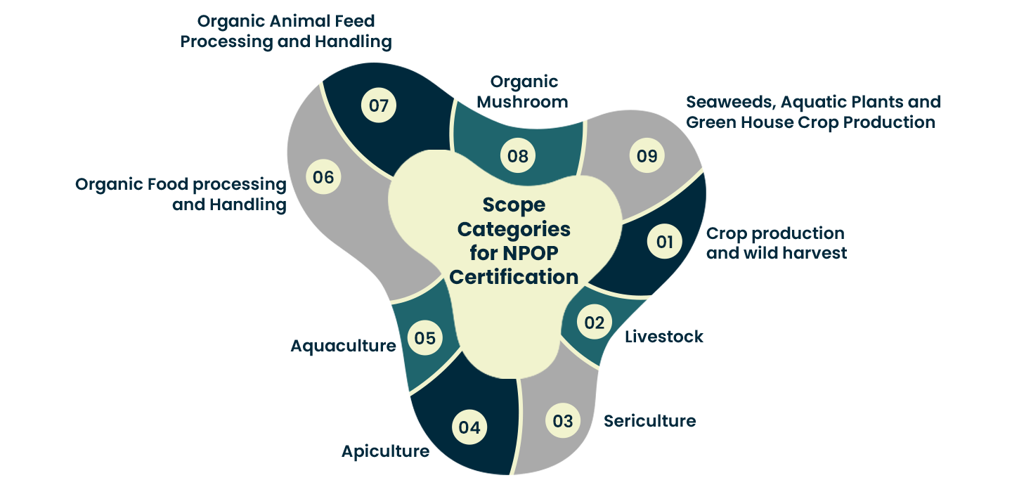 Scope Categories for NPOP